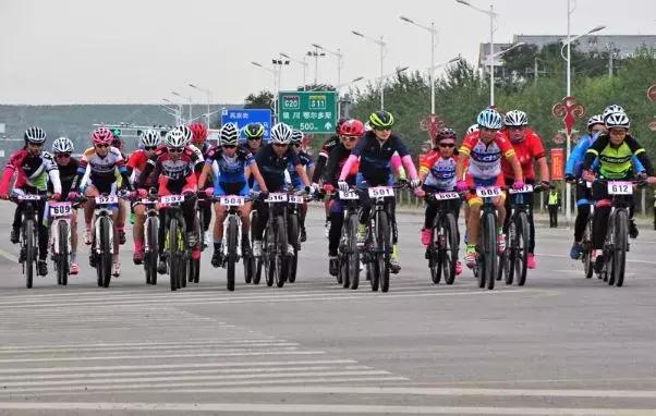 宁夏盐池嘉年华,盐池嘉年华巡游