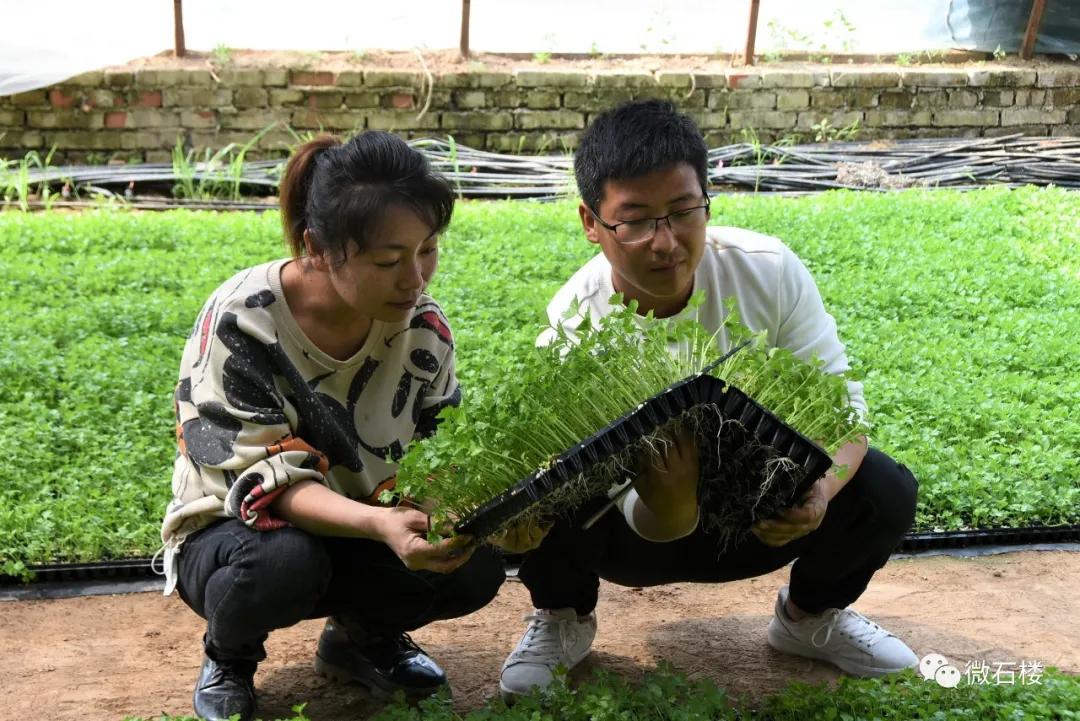 石楼丁喜辉:90后“草根”的创业致富路