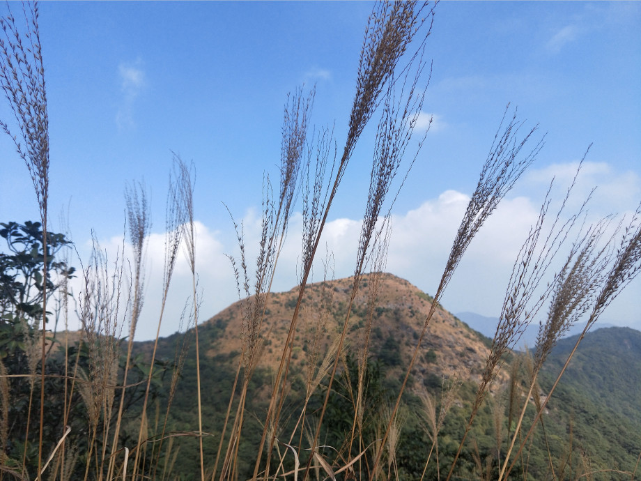 实干是什么意思,实干才是真谛