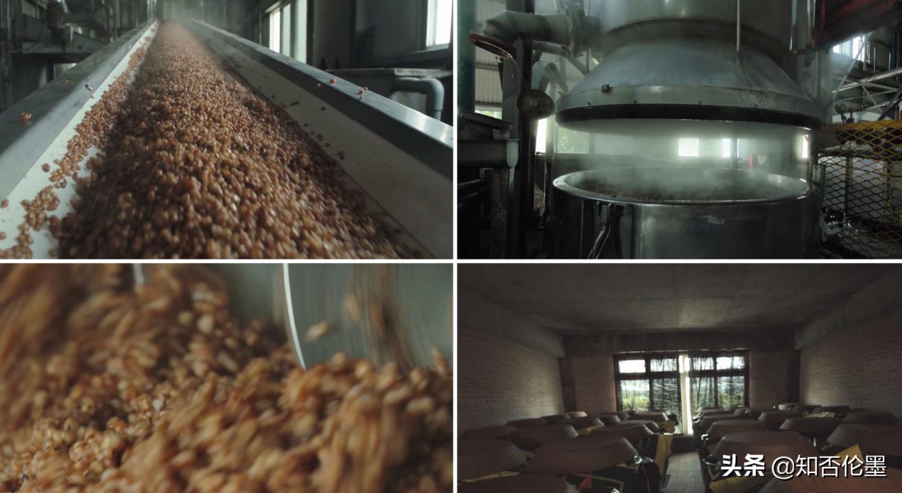 未来十年农业种植什么回报高,现在投资农业种植什么好