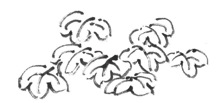 树画简单初学者教程,树画不好看了怎么改