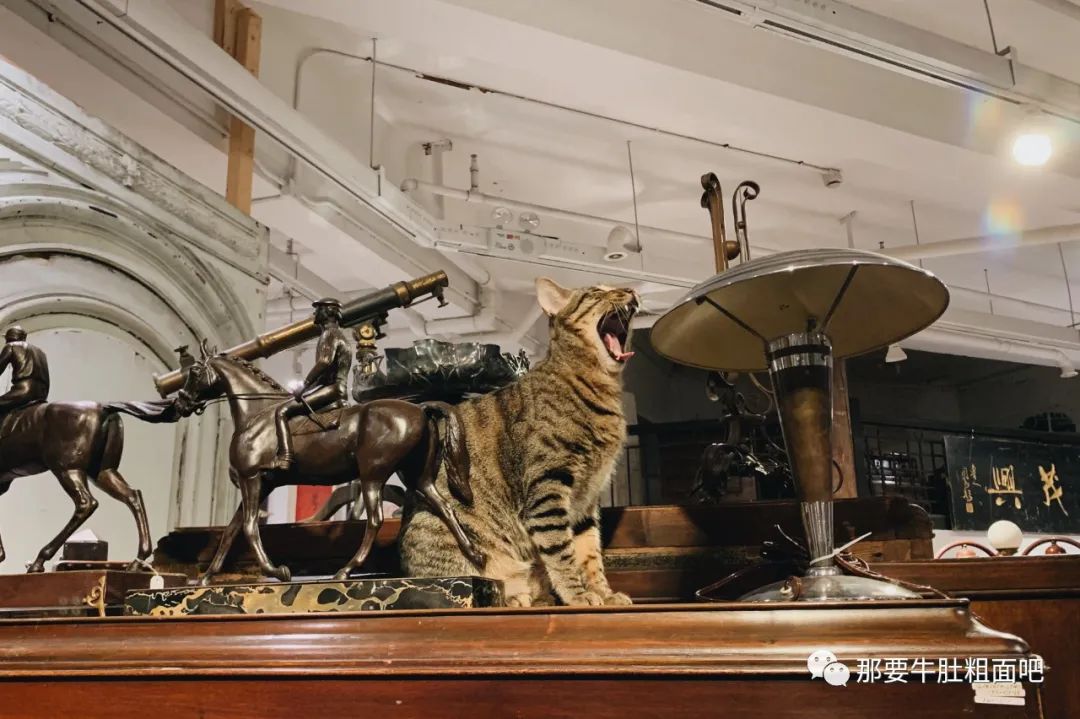 那些网购家具踩过的坑，家具探店、装修风格和审美构建