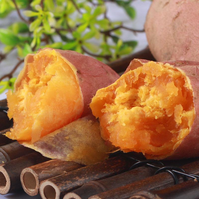 林清玄的红心番薯感悟,林清玄的红心番薯阅读