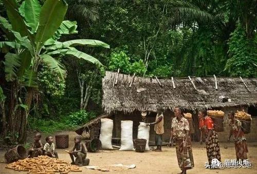 美国黑人400多年来遭受的苦难和不断反抗的历史