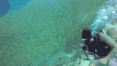 去马尔代夫玩哪个岛最值得推荐,去哪里旅游马尔代夫划算