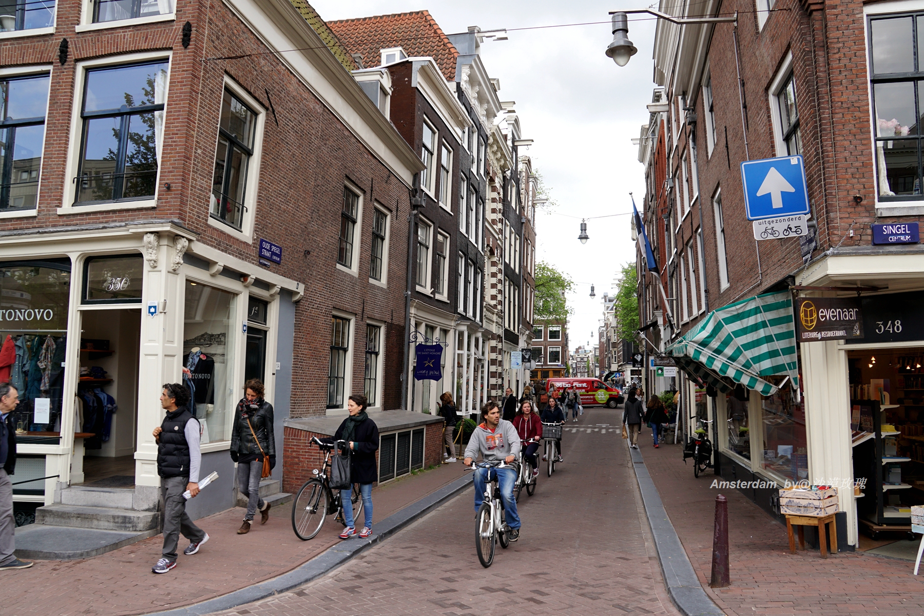 带你观赏荷兰郁金香,荷兰郁金香花海什么时候开