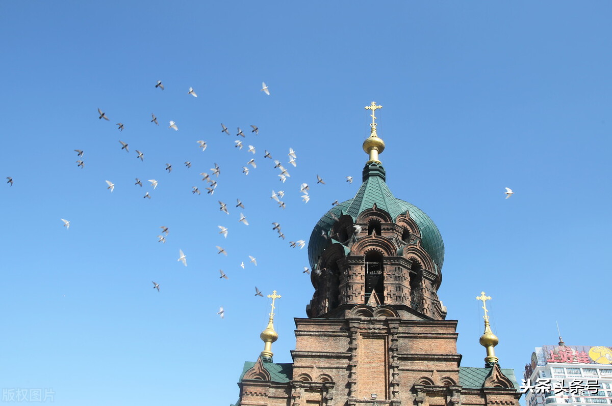 城市记忆黑龙江省哈尔滨市,走进黑龙江省呼兰