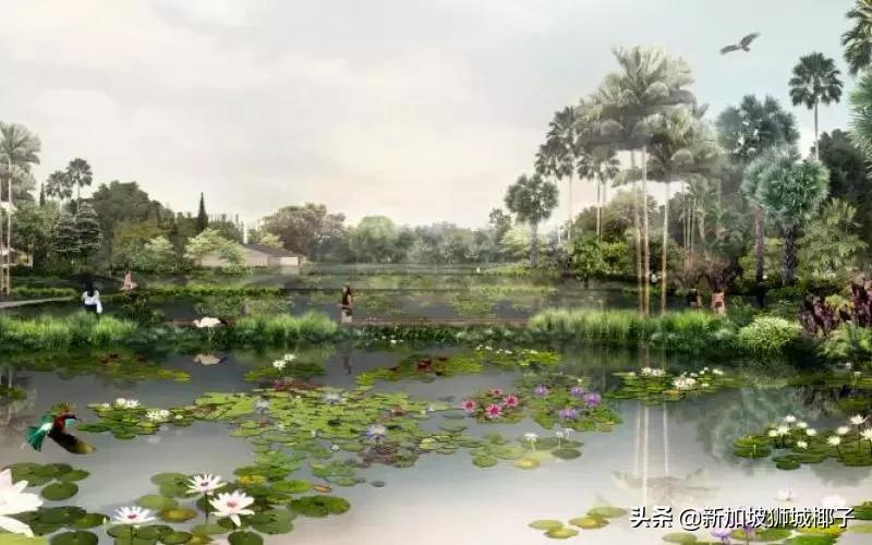 新加坡旅游攻略推荐花园,新加坡花园最新消息