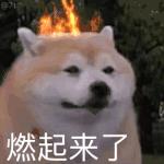 游戏里那些惊人的物理外挂,游戏的物理外挂有多离谱