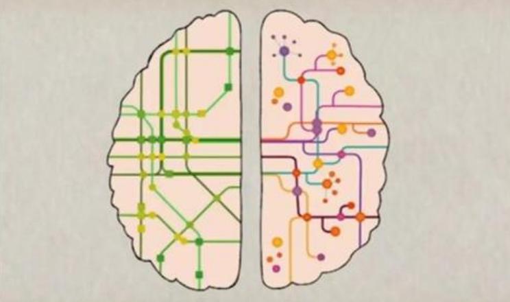 从小培养乐器的孩子还是不错的,孩子学习乐器最佳的年龄段为什么