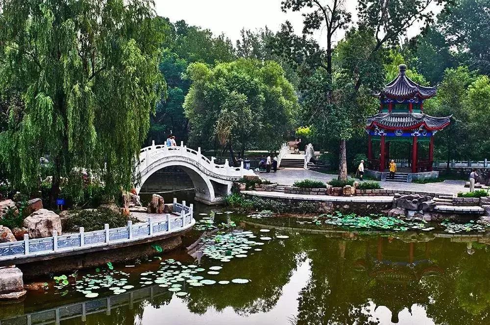 天津春天踏青好地方,天津武清踏青好去处