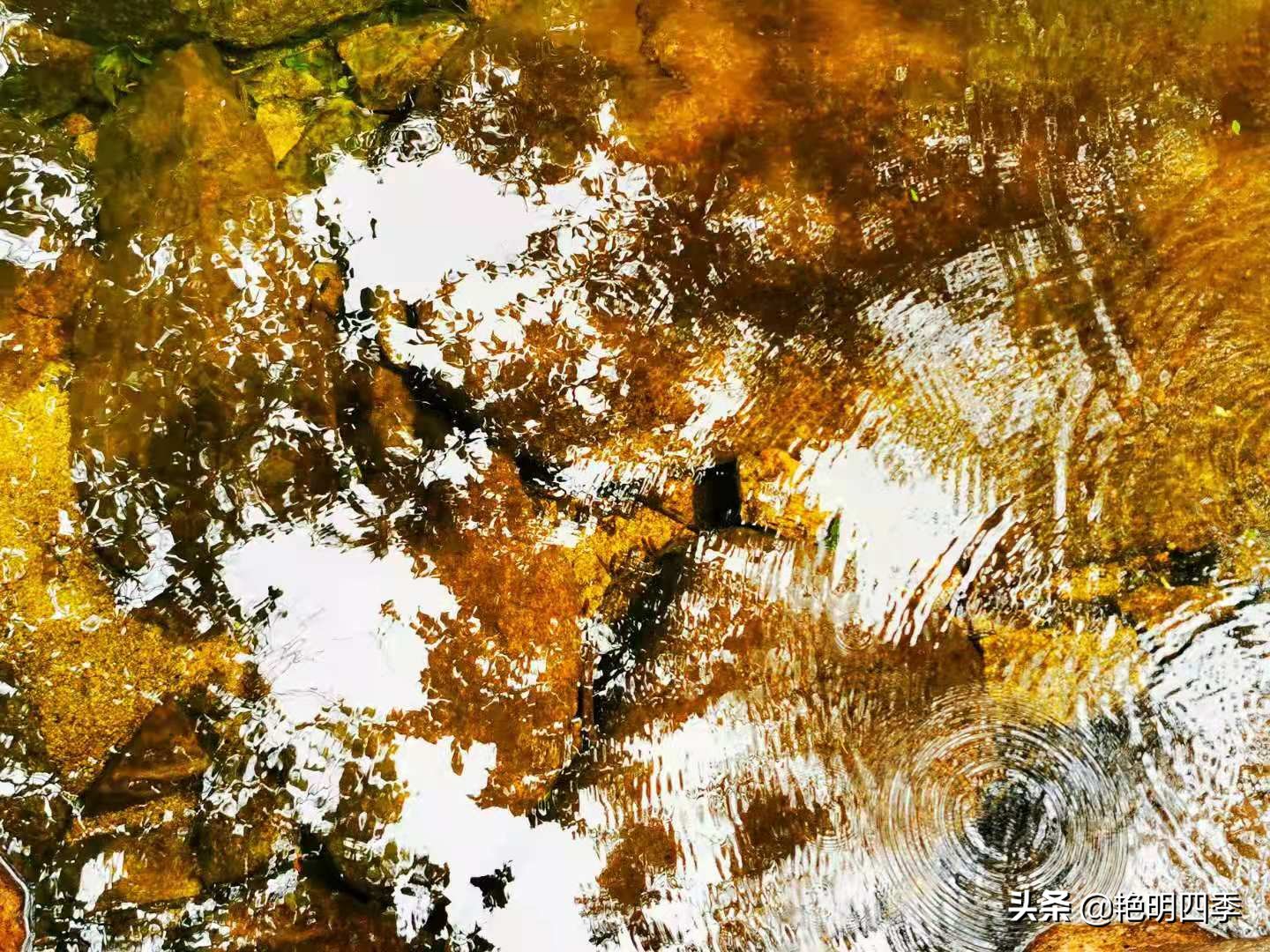 河南平顶山画眉谷——画眉声声谷愈静,流水淙淙山更幽