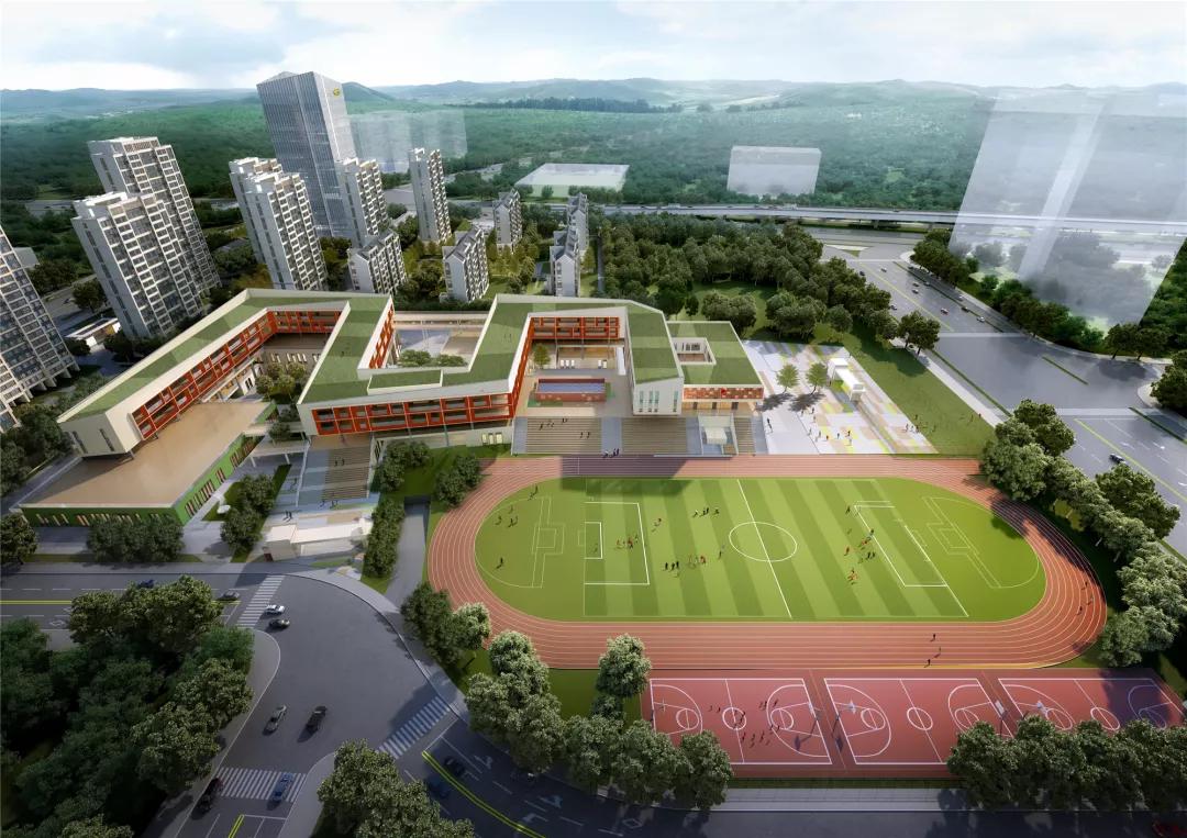 合肥九区学区划分!14大学校变动,3大传言破灭