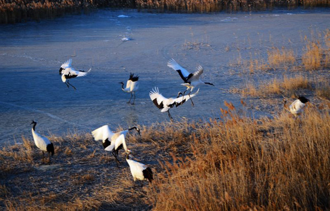 吉林省旅游景点推荐长白山滑雪,吉林长白山旅游景点有哪些