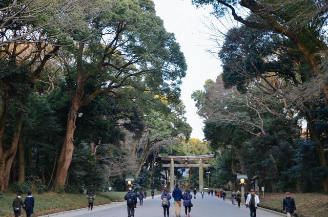 东京有几个宫殿,去东京参拜哪里神宫比较好