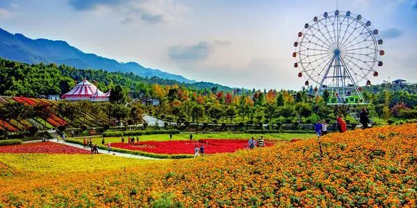 我的当兵之路800字,我的参军路