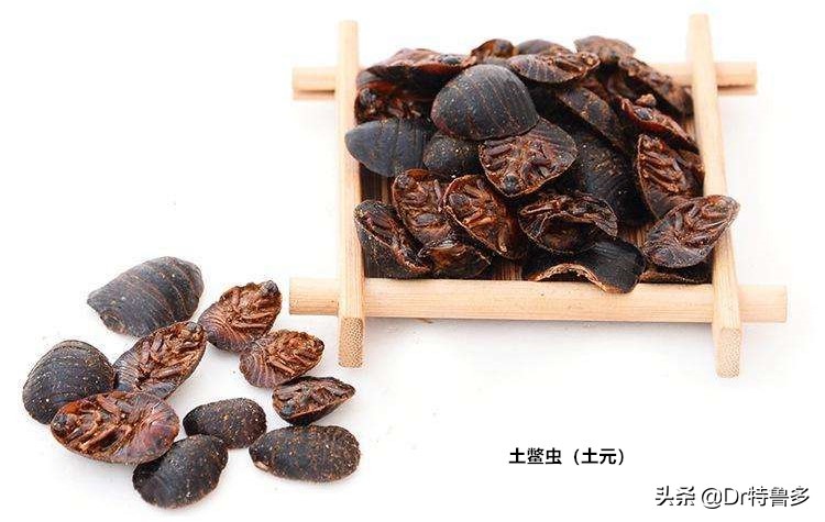 骨折中药要吃多久才有效,骨折一年多没愈合吃啥药好得快