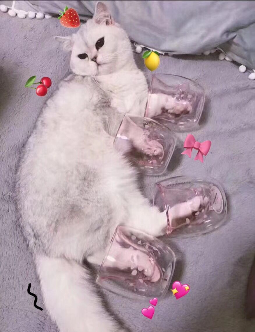 猫爪杯价值299一个,猫爪杯上千块