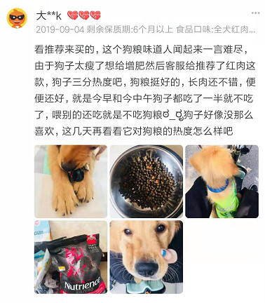 家有狗子,家有狗子视频完整版