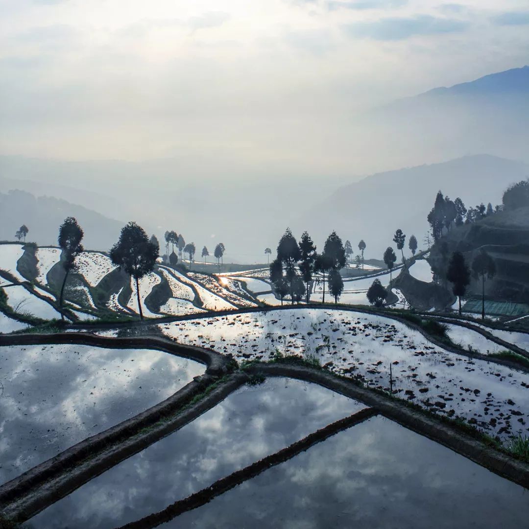 最难懂的温州方言大全,中国最难懂的温州方言