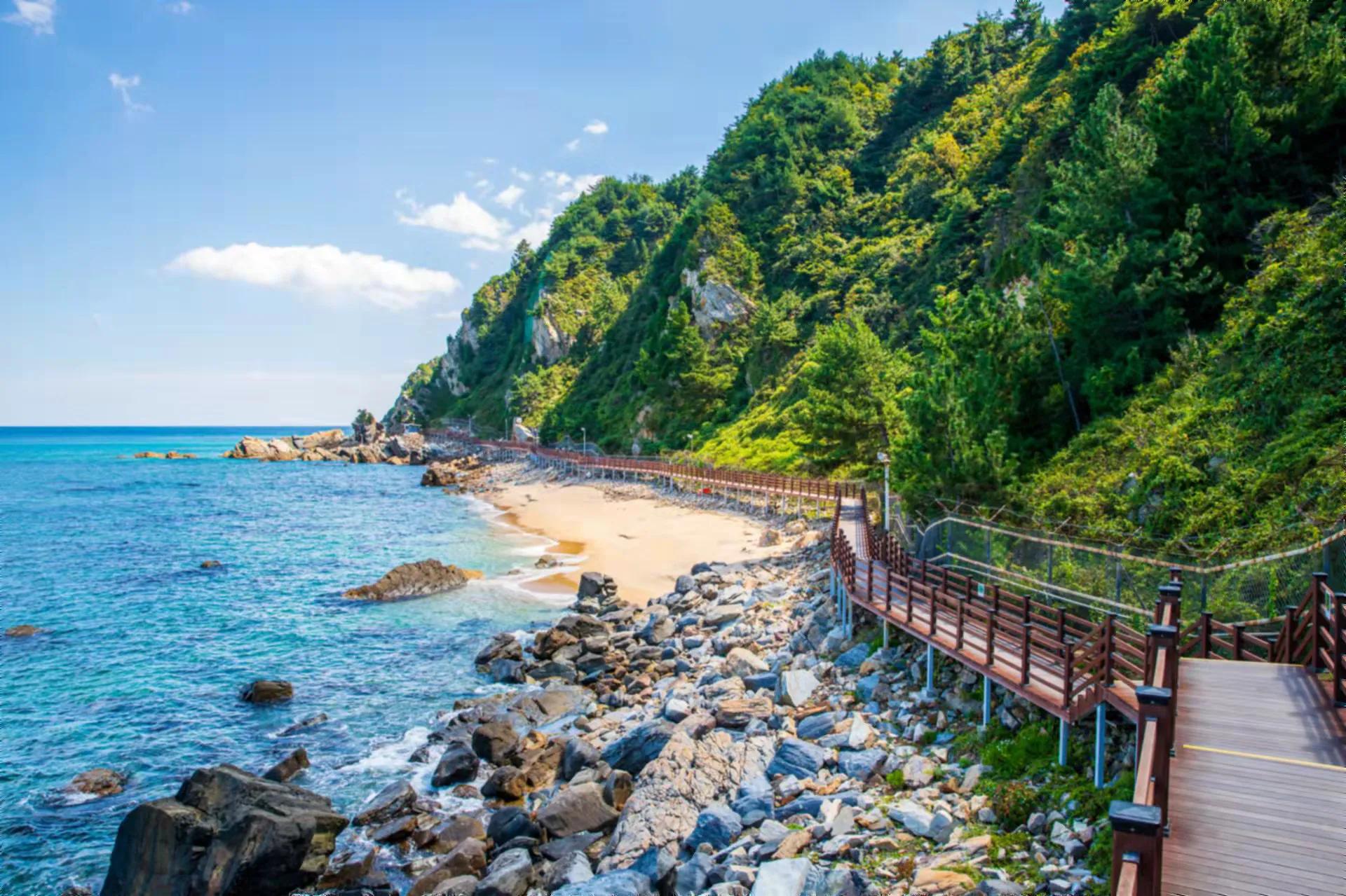 中韩交流之夜,中韩友好文化庆典