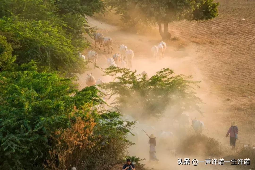 躲开了那条咬人的狗,躲开那条咬人的狗狗