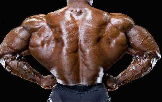 如何练成罗尼.库尔曼那样的蝙蝠背？