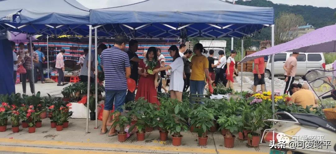 记住乡愁容县篇,记住乡愁视频美食