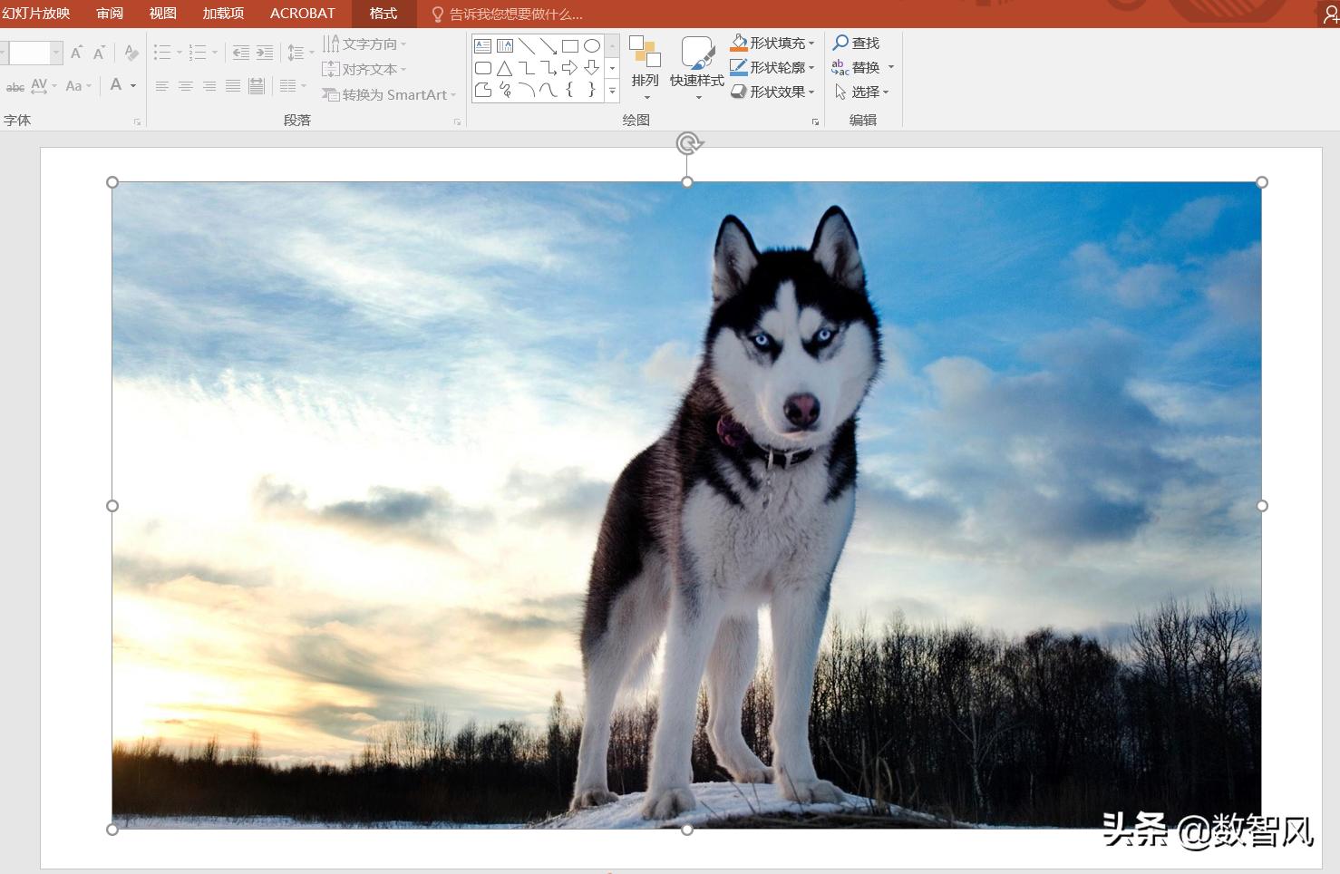 如何给身份证照片加水印和文字,照片加文字方法视频