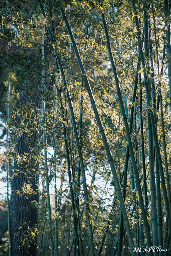 韩国旅游不可错过的景点,韩国不能错过的3部电影