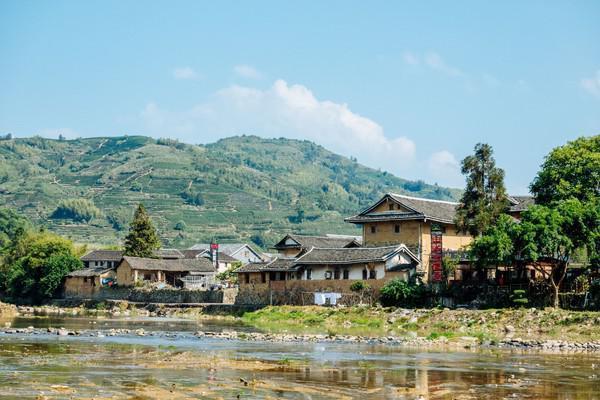 福建云水谣古村,福建云水谣古镇榕树