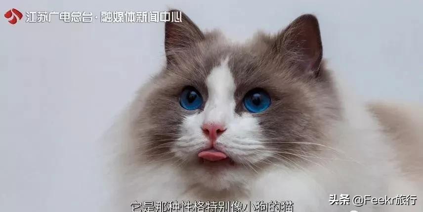 中国世界美食之都,中国世界美食之都排名