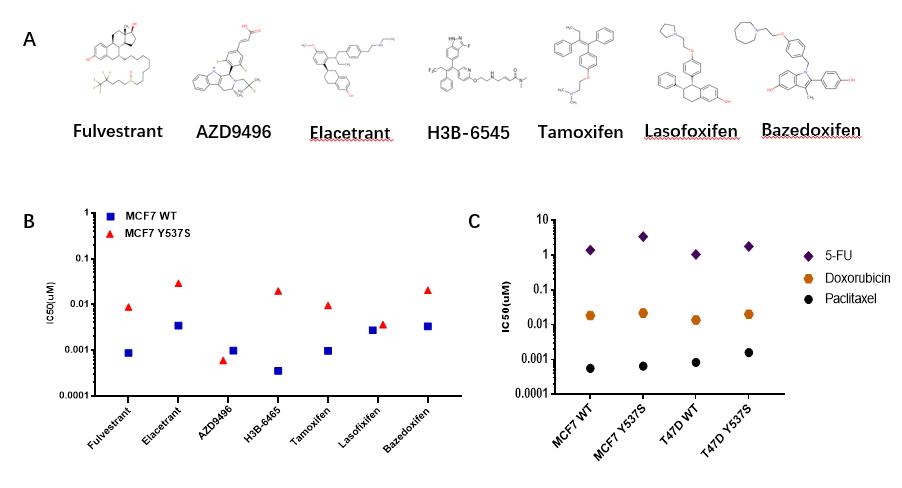 asco乳腺癌最新研究,asco三阴性乳腺癌研究进展