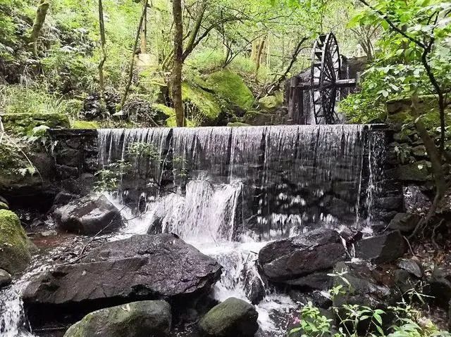 端午去哪玩昆明,暑假自驾游攻略昆明天气