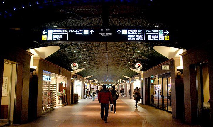 比大熊猫还濒危的小熊猫,比熊猫更稀有的小熊