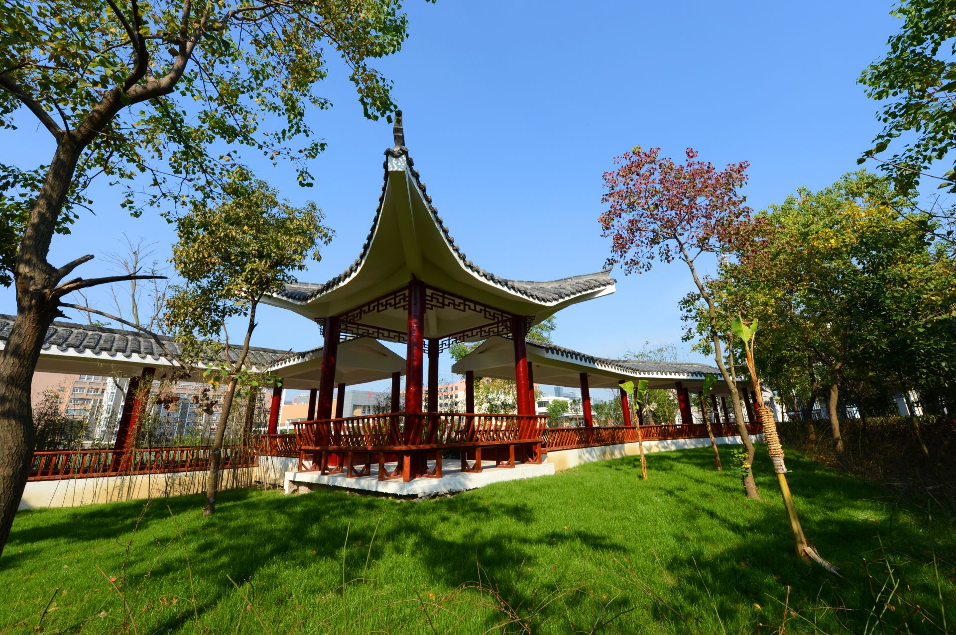 合肥望湖四十八中学校长,合肥汪蓉校长简介