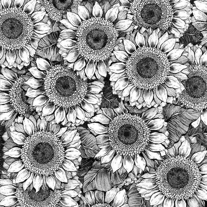 一看就懂的针管简笔画,针管笔入门手绘1000例临摹图