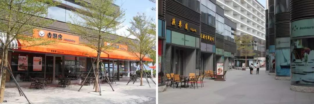 最强总结!实踩惠州滨海线90%海景房,旺季租到2万/晚真能躺赚吗