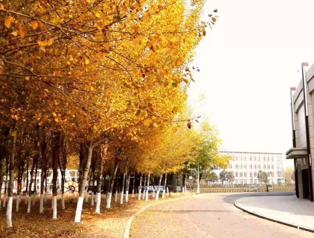 辽宁中医药大学杏林学院有独卫吗,辽宁中医药大学杏林学院属于3+2吗