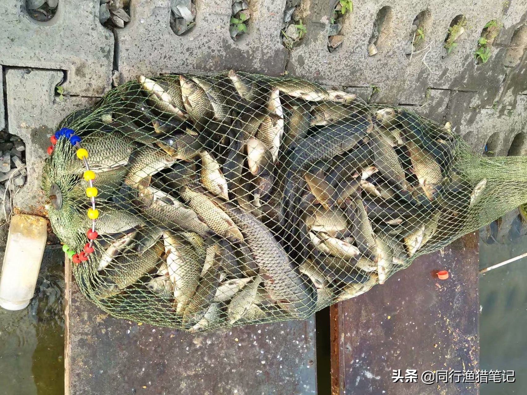 软粘饵的最佳状态,软黏饵的实战用法