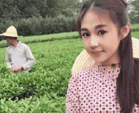 茶叶妹骗局宣传片,茶叶妹的套路