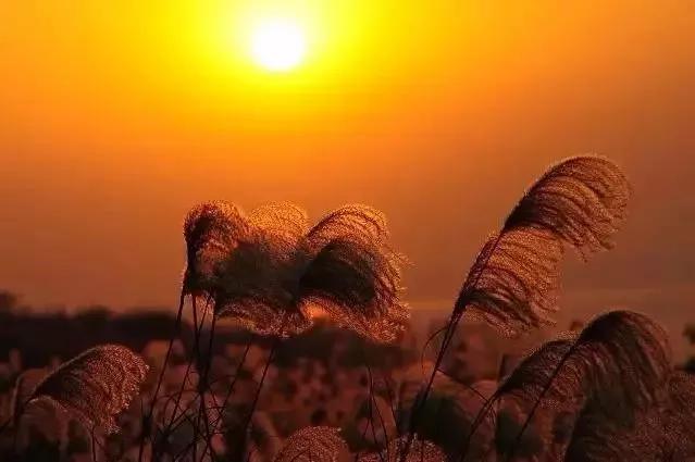 上海附近适合三五天游玩的海岛,离上海最近的绝美海岛