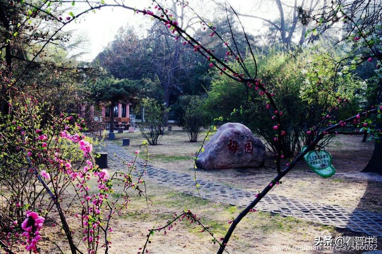 山西农大美丽的校园,山西农大校园风光