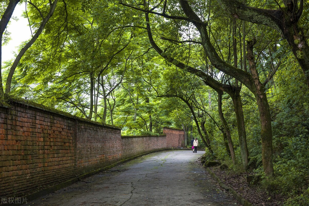 重庆是未来发展潜力最大的城市,重庆是西南最大的工业中心城市吗