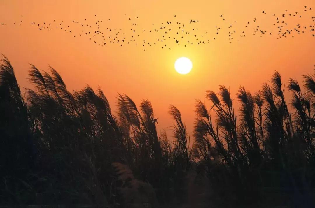 必打卡的宝藏公园,这些宝藏打卡地分分钟让人美到