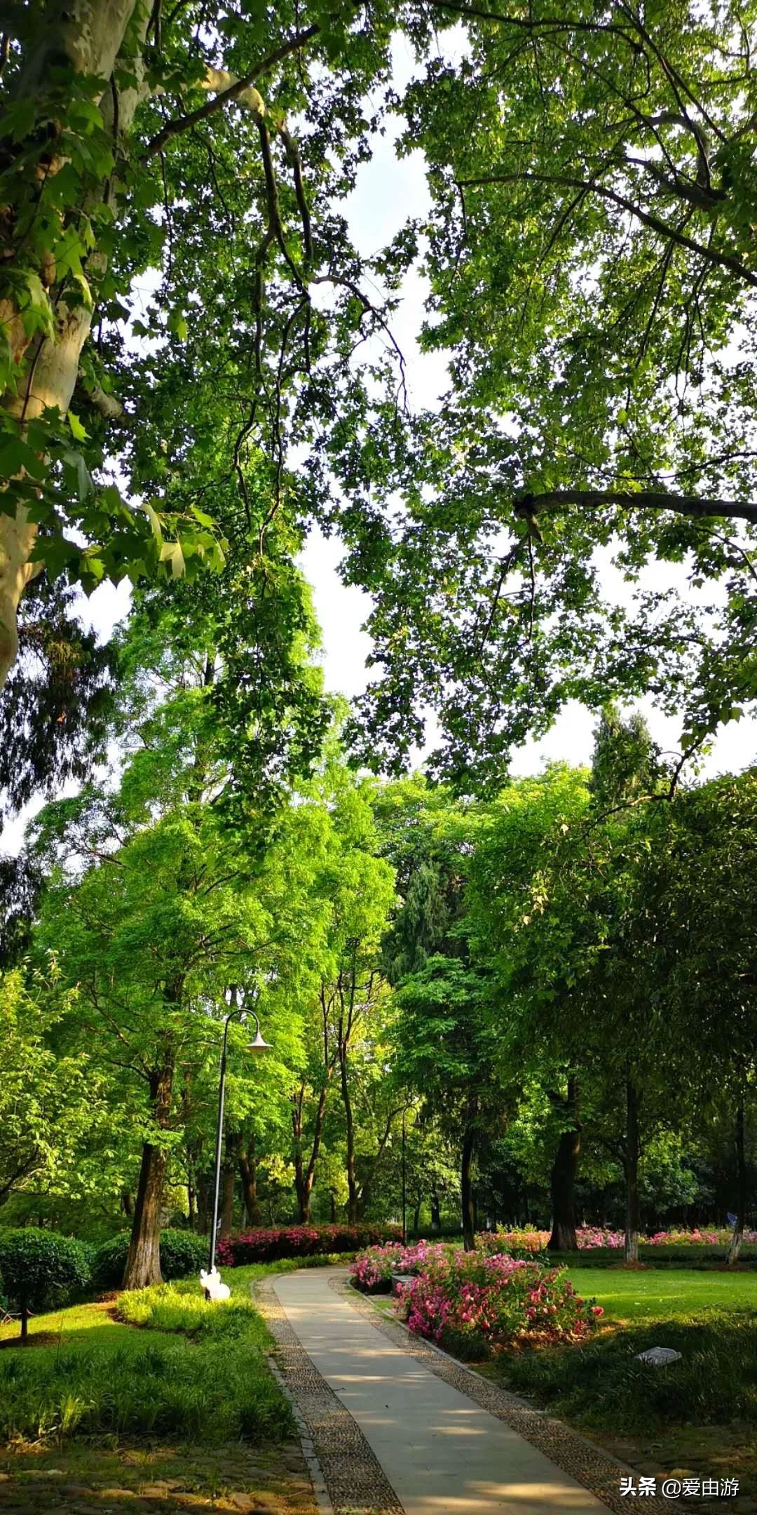 疫情后旅行新玩法,“州”游之衢州四天三夜