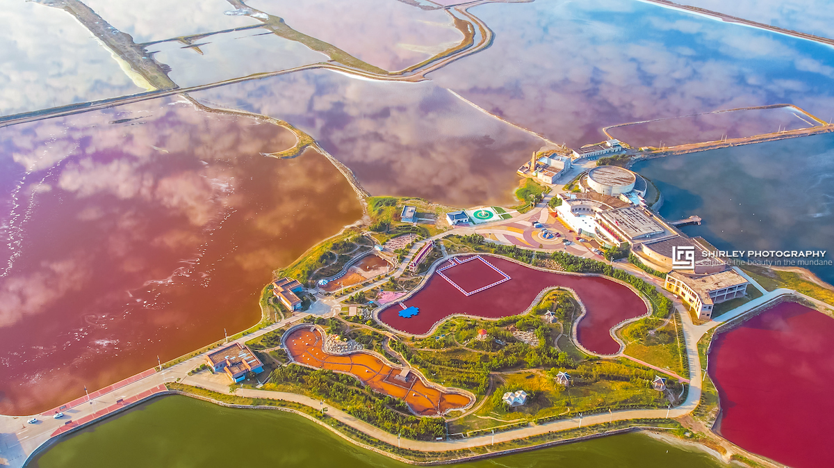 被中国人吃到濒临灭绝的食物,被中国人吃了千年不灭绝的食物