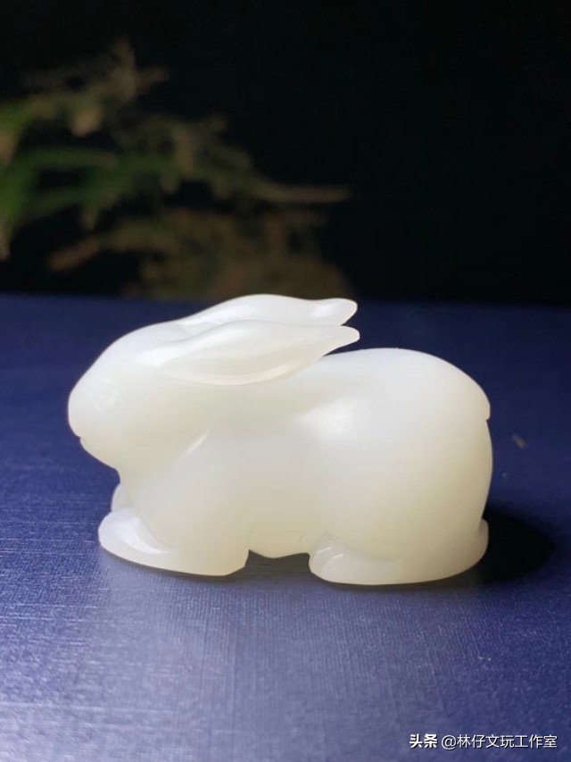 真假金丝砗磲对比照片,紫光灯照白砗磲的真假鉴别