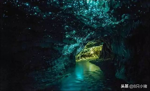 2023年lv哪款最流行,最新款lv在哪里上市