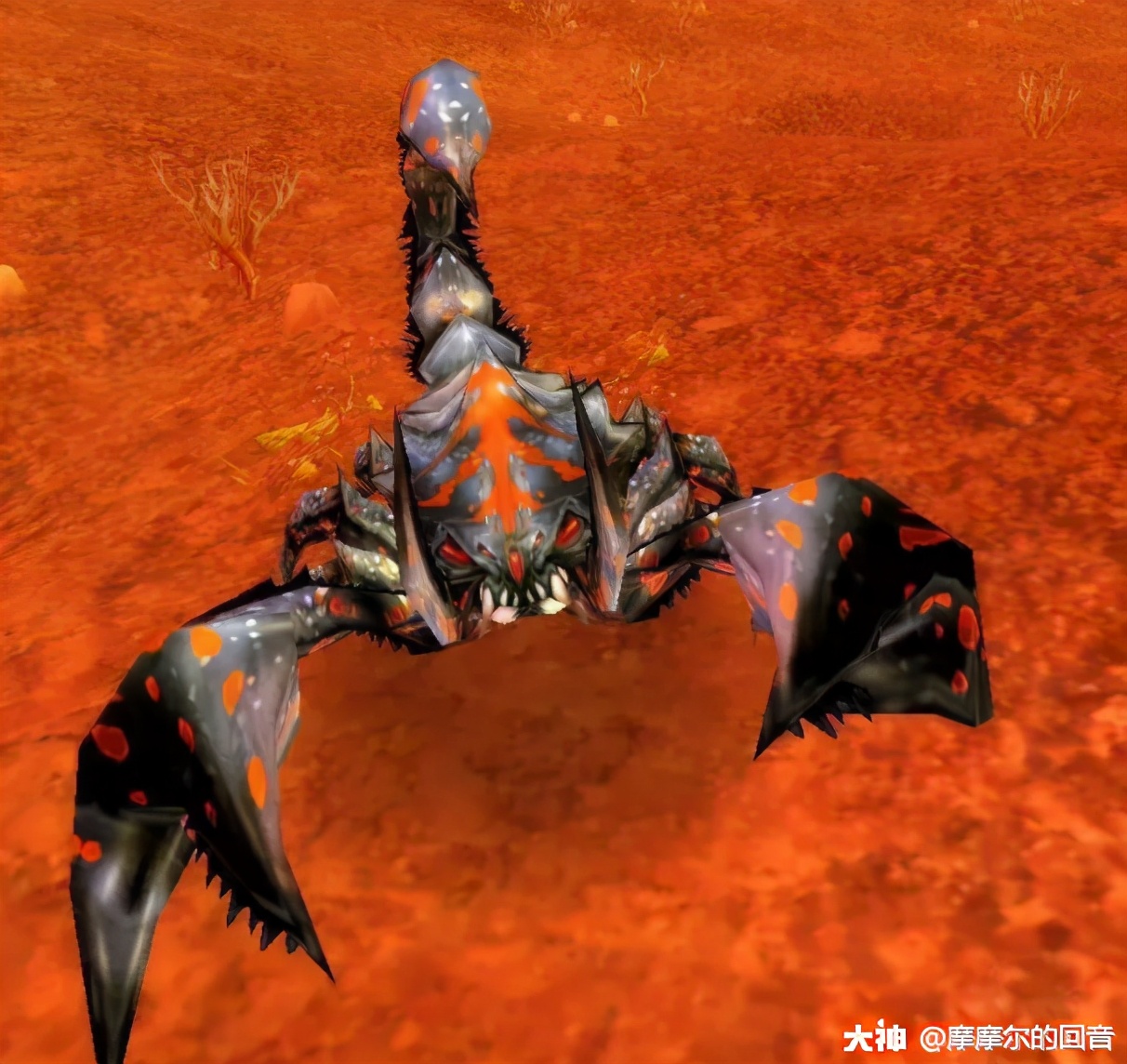 炉石传说猛毒和剧毒,炉石传说贫瘠之地